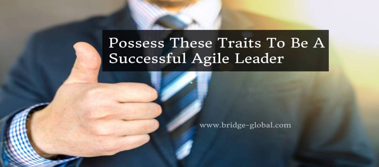 5 Excellent Tips to Become a Supercharged Agile Leader!
