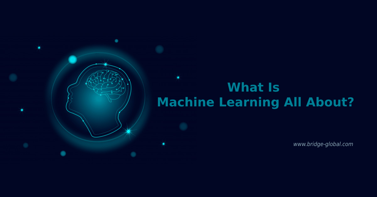 Machine Learning for Everyone. A Quick Guide to Get the Basics Right!