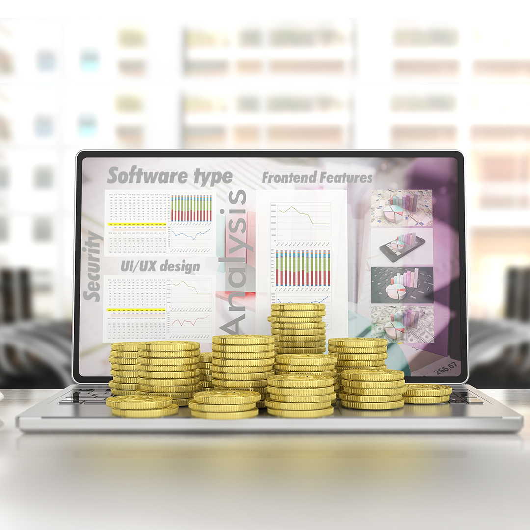 Factors Influencing Existing Custom Software Budget- software budget planning Factors Influencing Existing Custom Software Budget- software budget planning