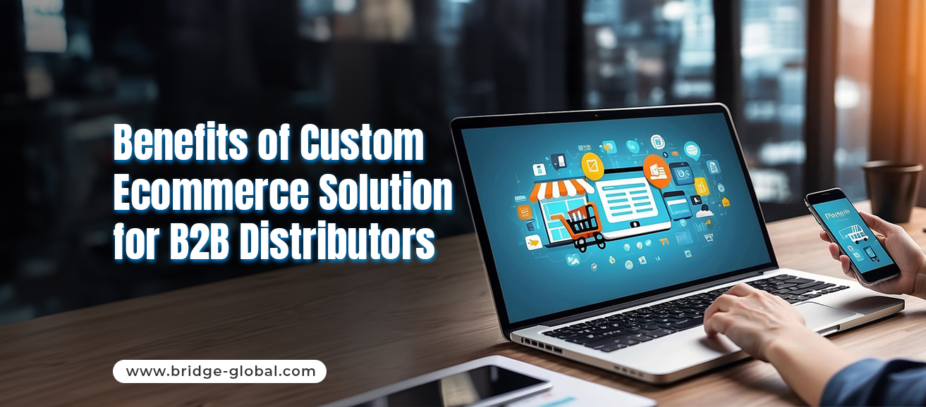 The Advantages of a Customized Ecommerce Solution for B2B Distributors