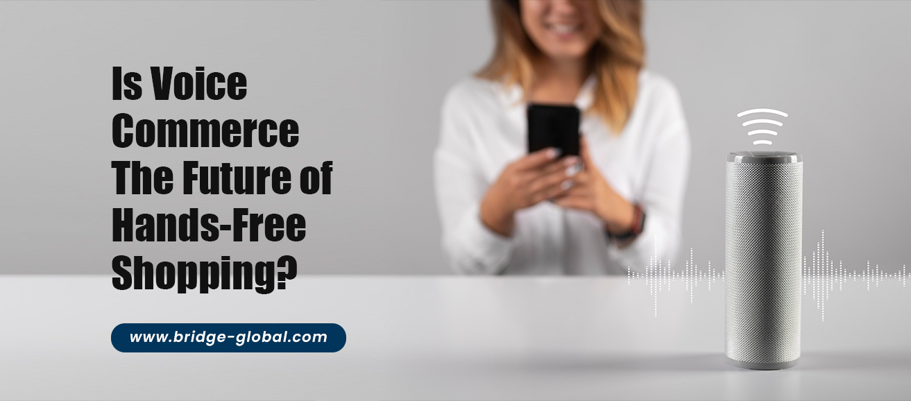 AI and Voice Commerce: The Future of Hands-Free Shopping